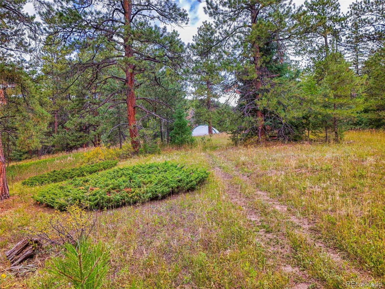 0 Indian Springs Conifer CO 80433