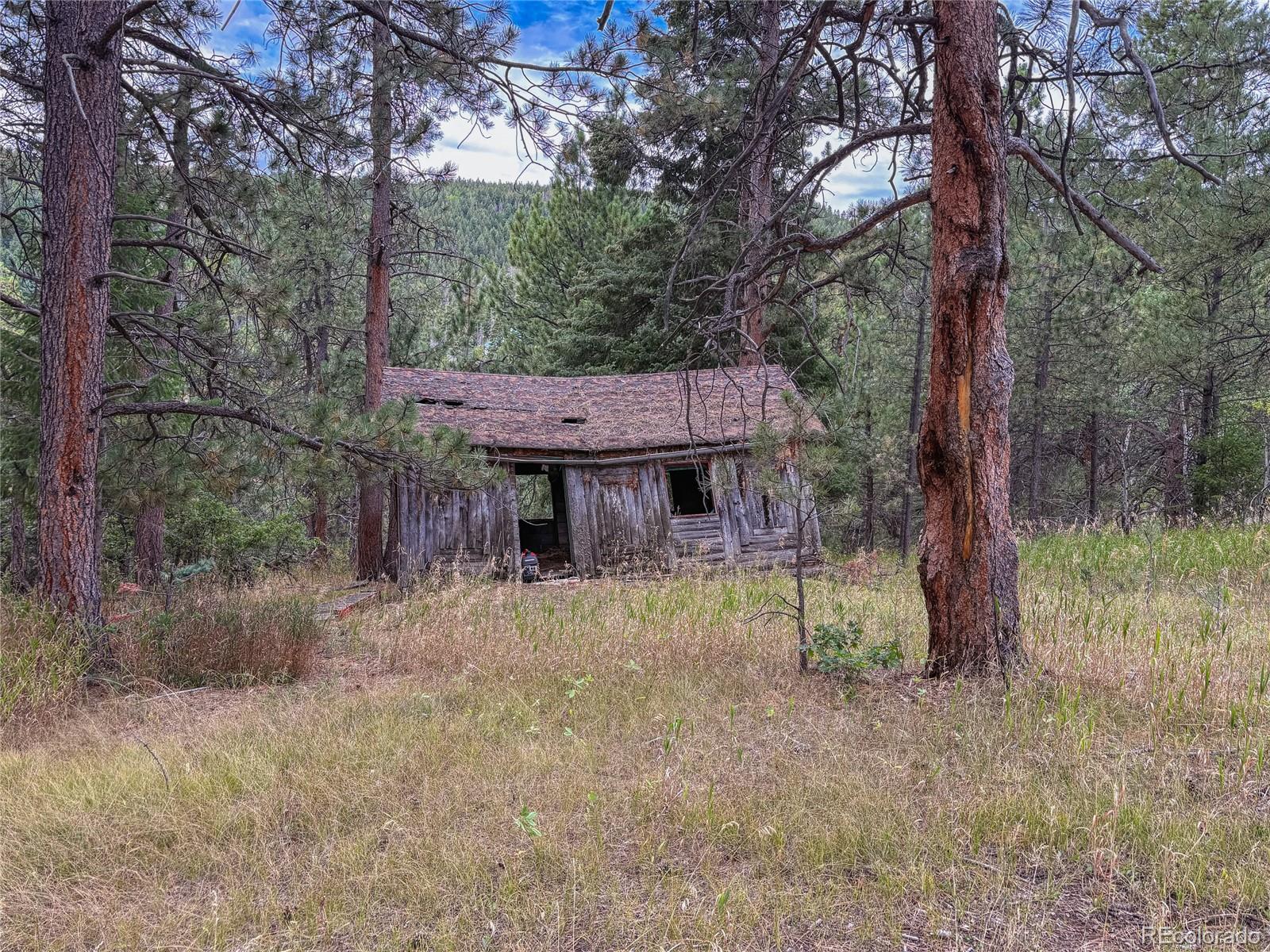 0 Indian Springs Conifer CO 80433