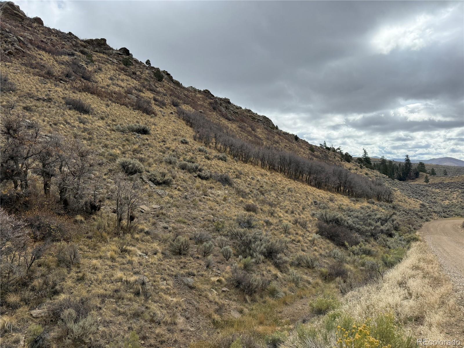 Lot 133 Griffiths Drive Fort Garland CO 81133