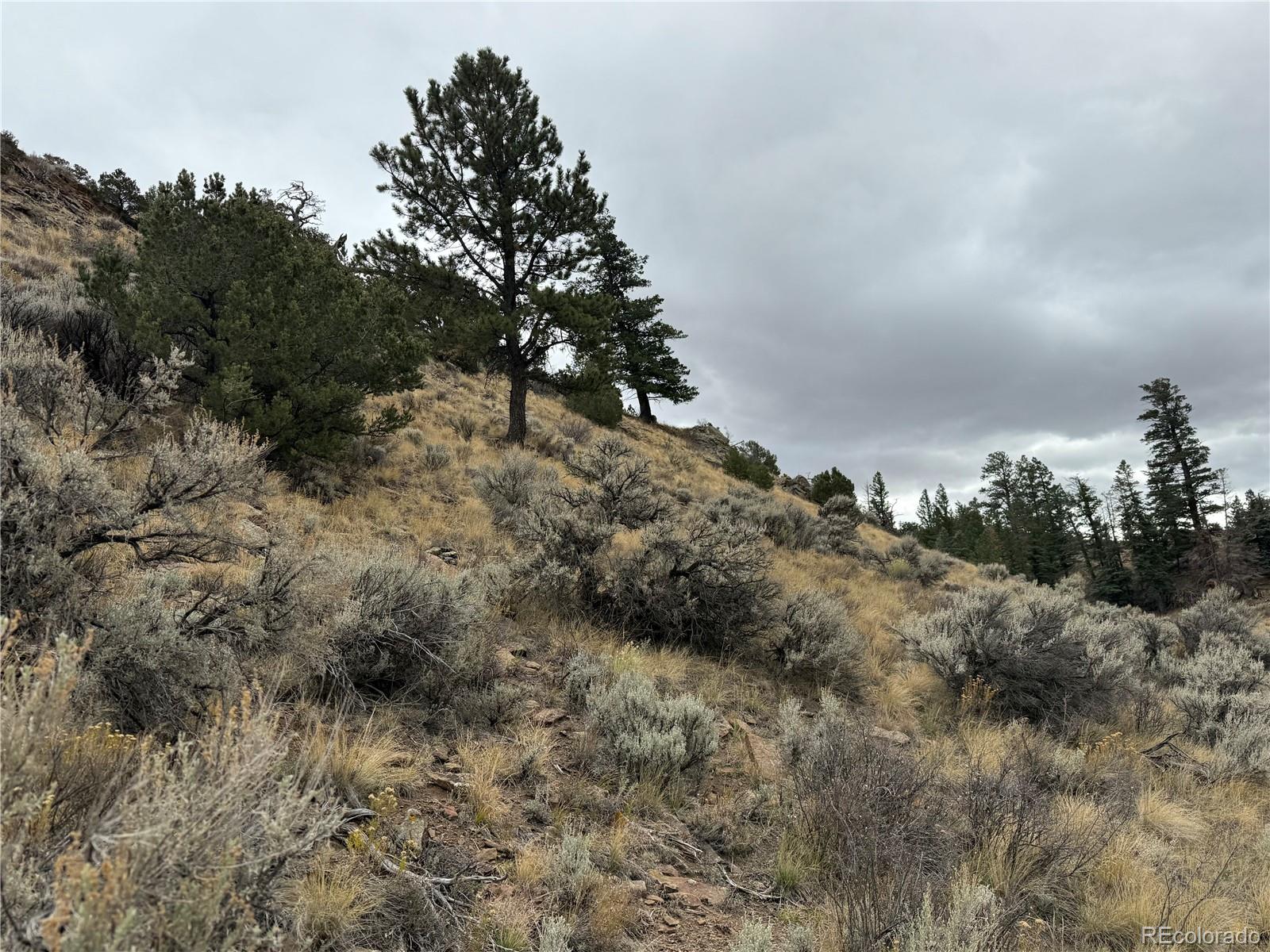 Lot 133 Griffiths Drive Fort Garland CO 81133