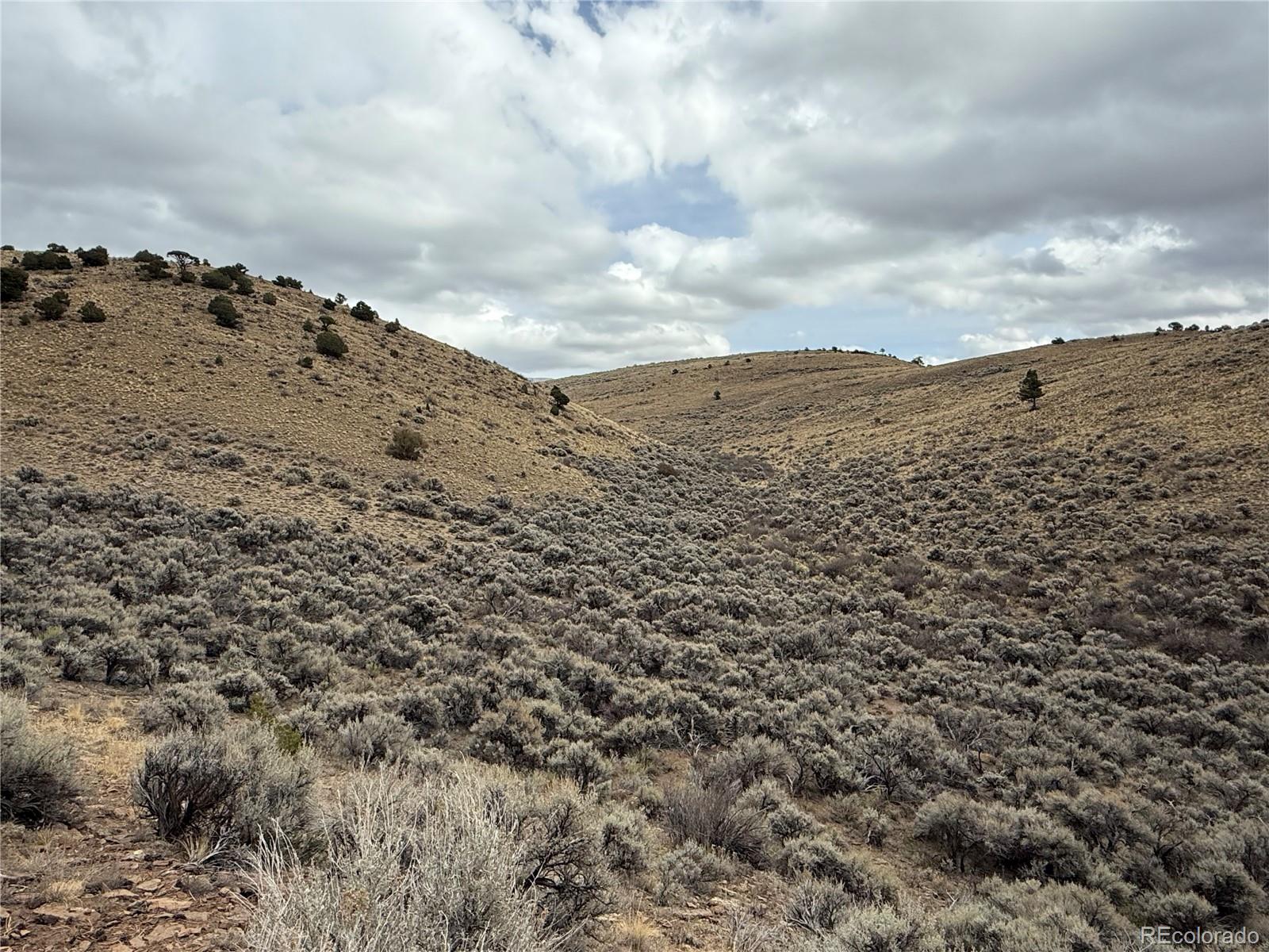 Lot 133 Griffiths Drive Fort Garland CO 81133