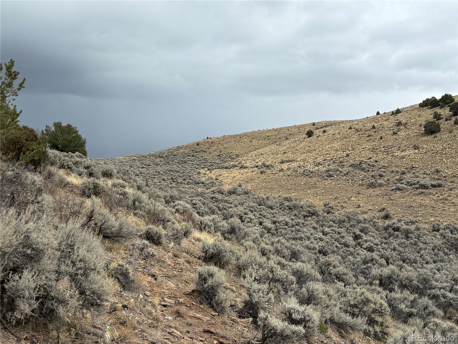 Lot 133 Griffiths Drive Fort Garland CO 81133