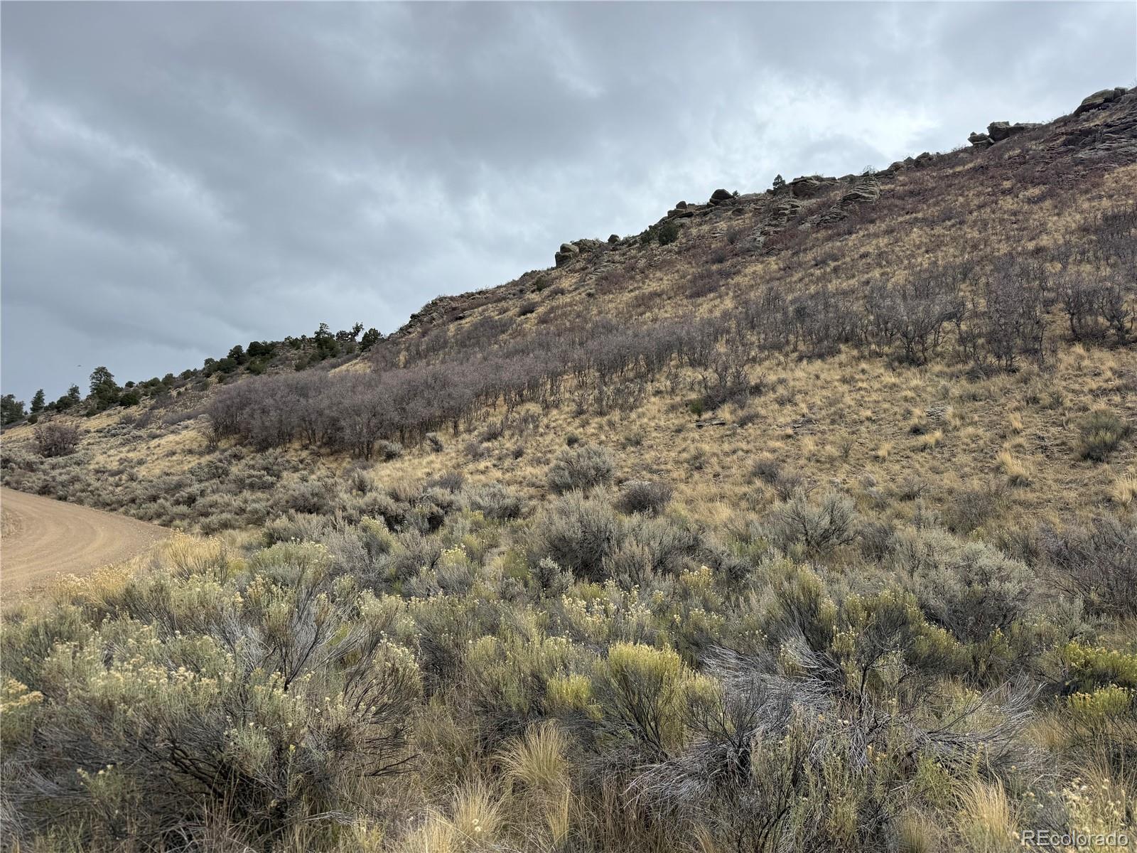 Lot 133 Griffiths Drive Fort Garland CO 81133