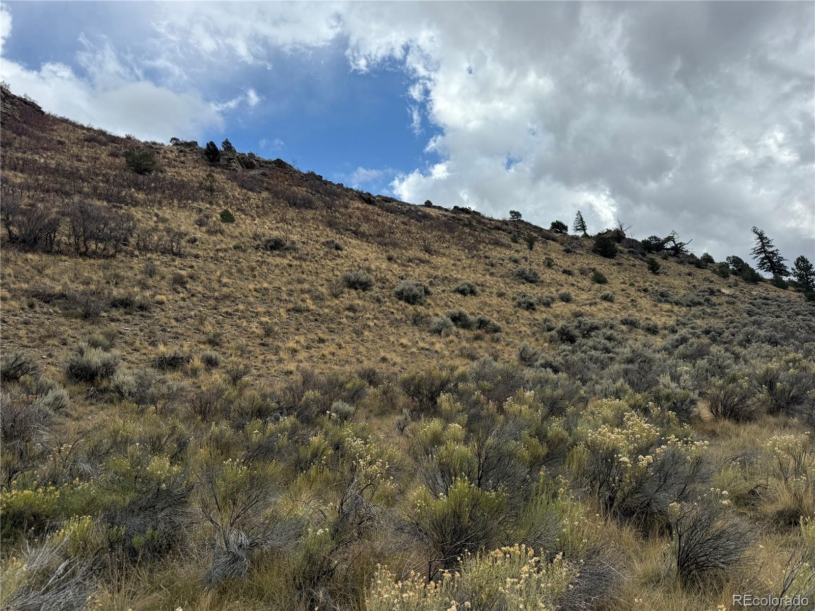 Lot 133 Griffiths Drive Fort Garland CO 81133