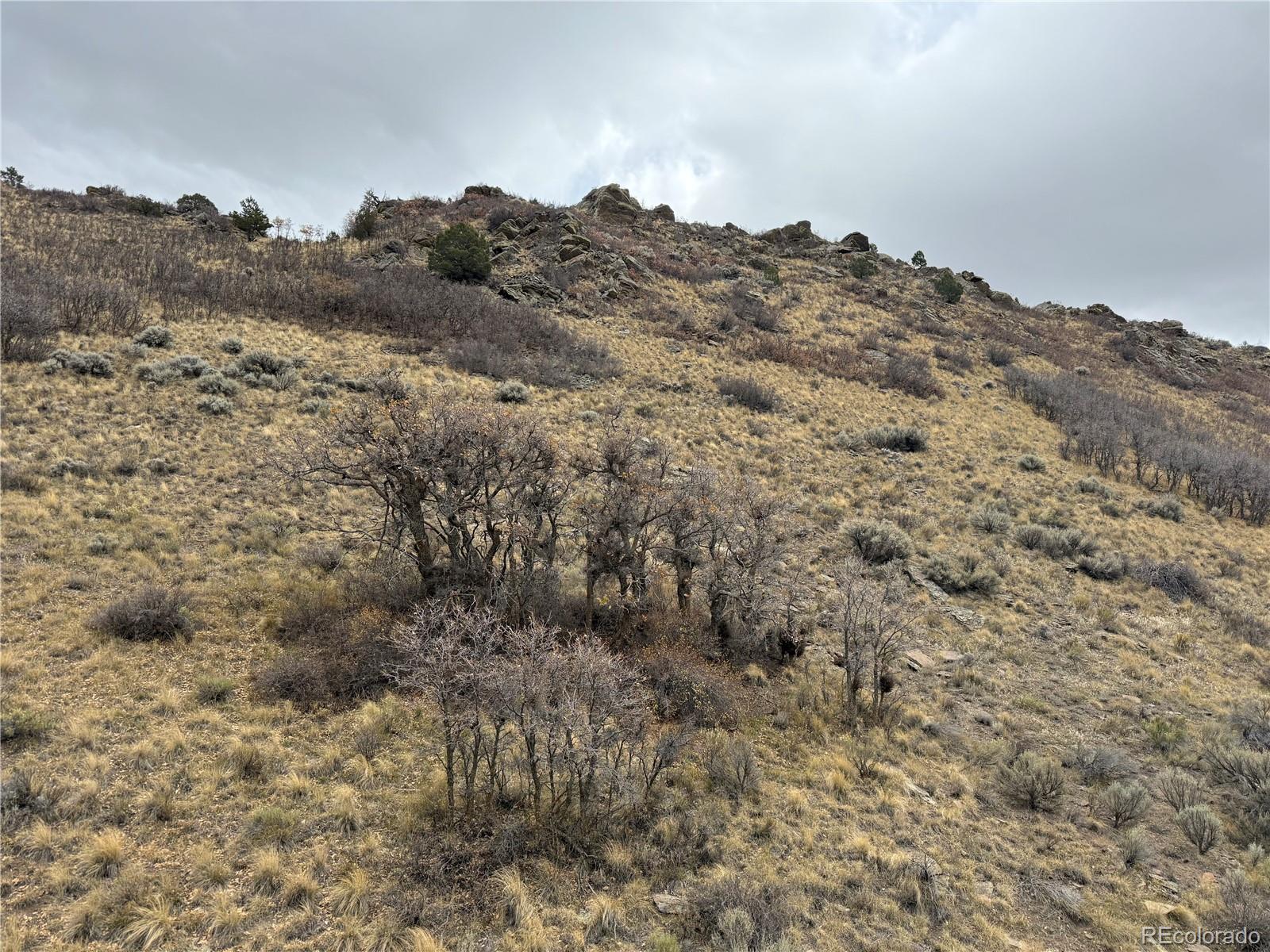 Lot 133 Griffiths Drive Fort Garland CO 81133