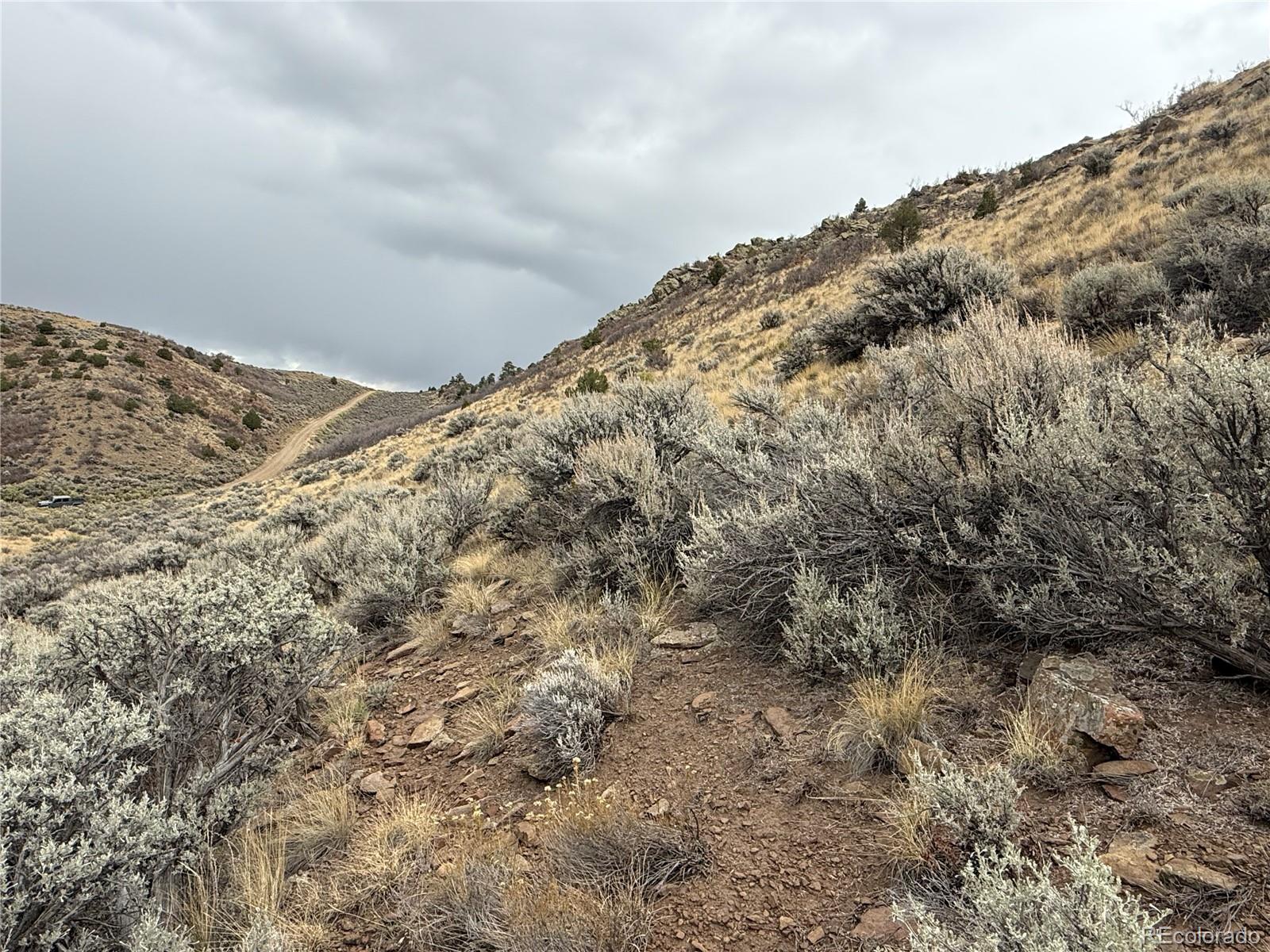 Lot 133 Griffiths Drive Fort Garland CO 81133