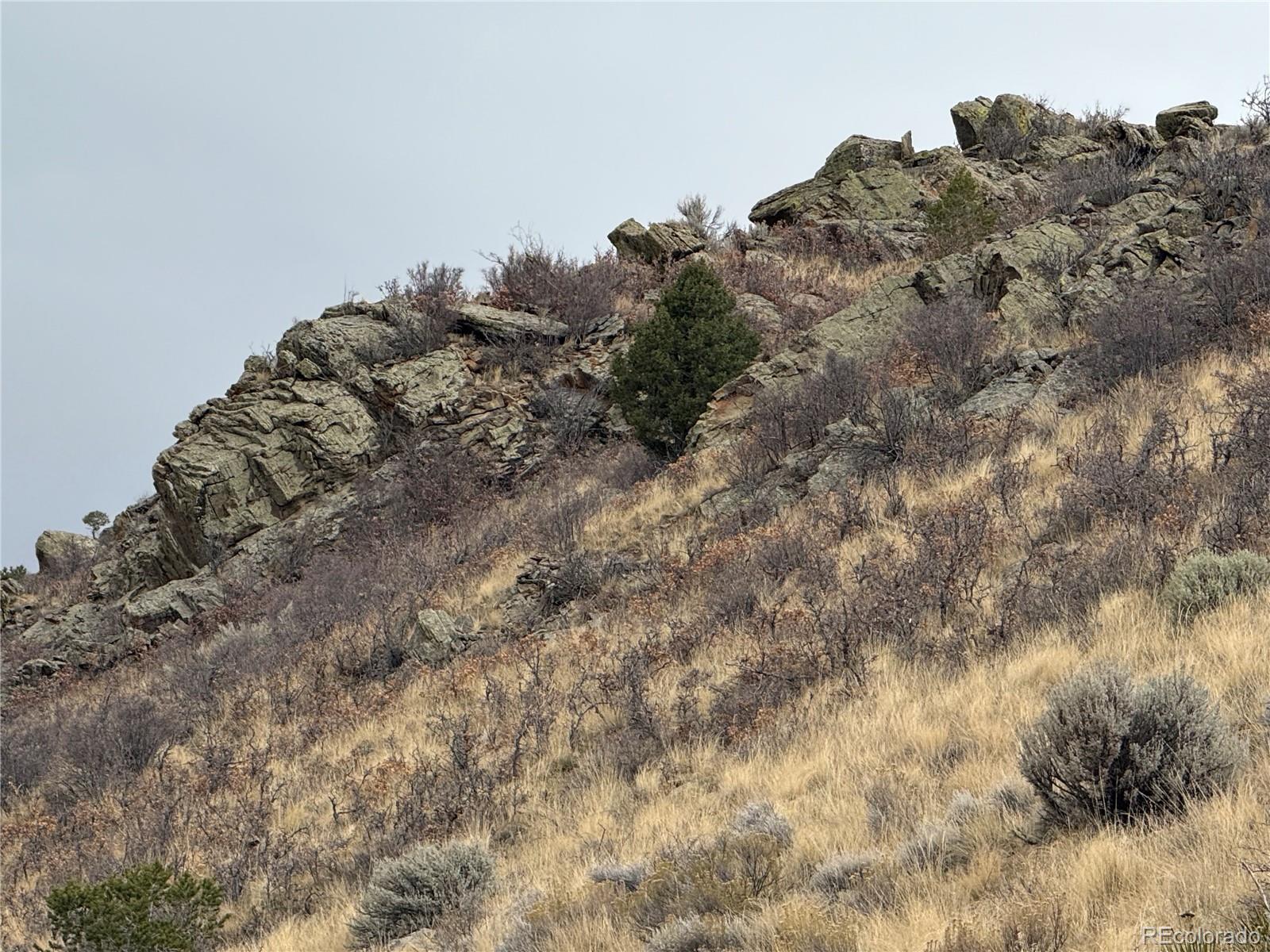 Lot 133 Griffiths Drive Fort Garland CO 81133