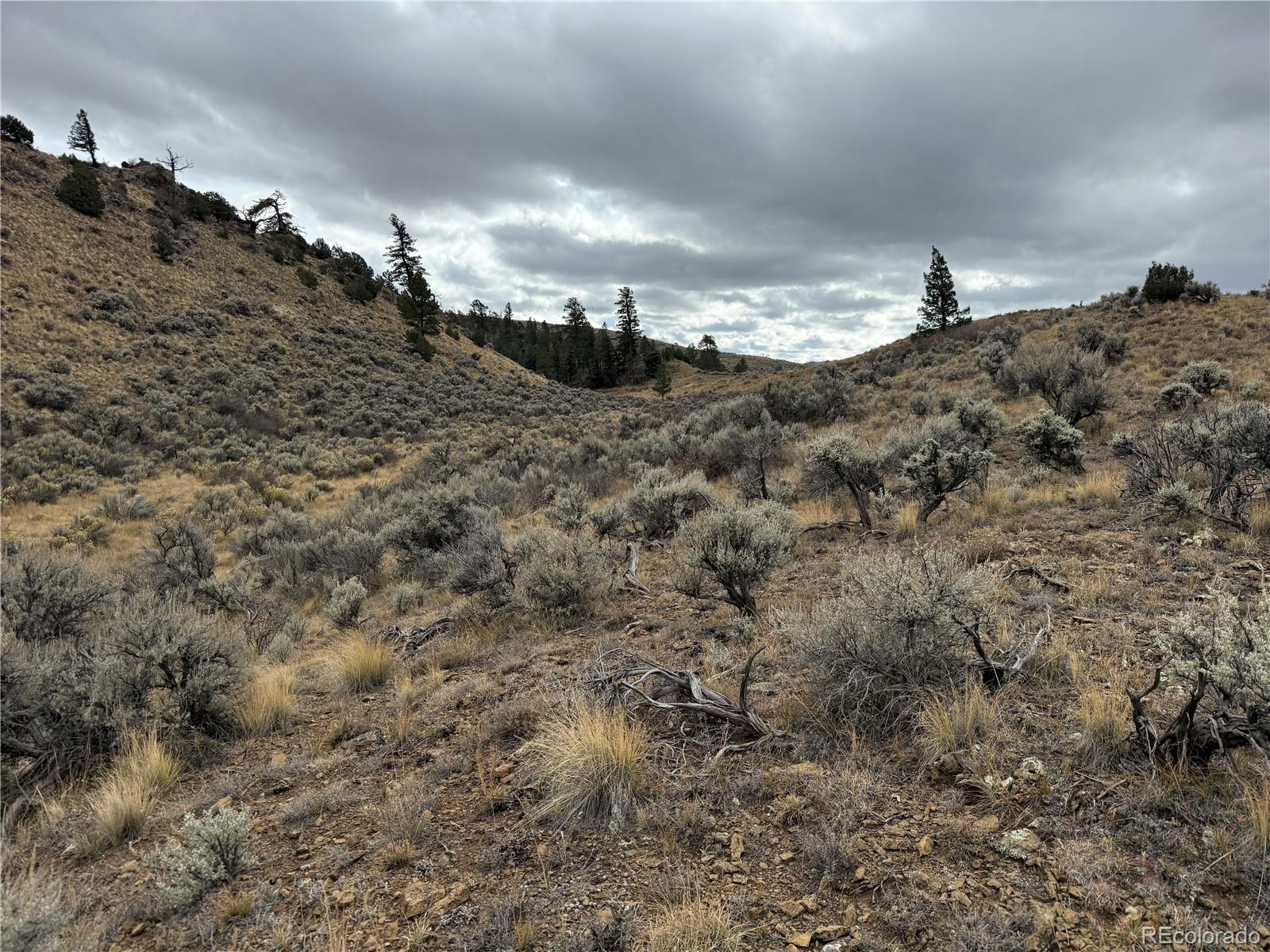 Lot 133 Griffiths Drive Fort Garland CO 81133