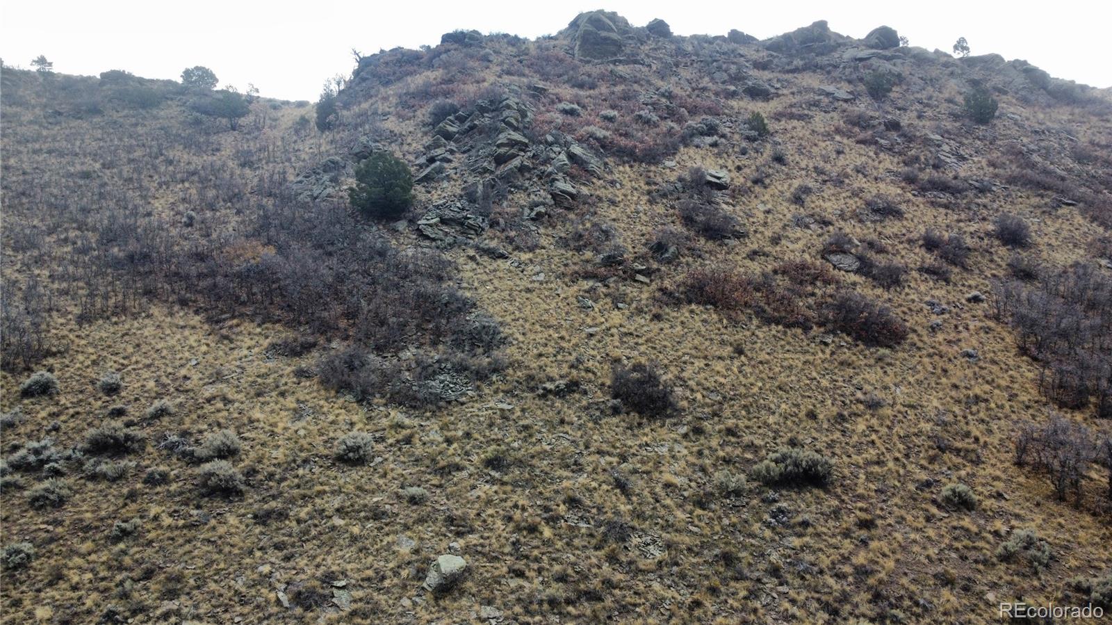 Lot 133 Griffiths Drive Fort Garland CO 81133
