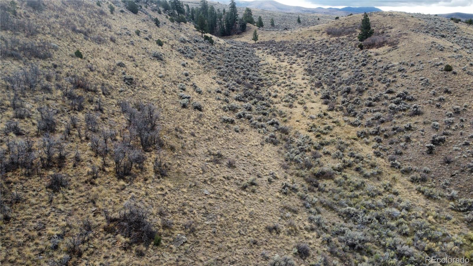 Lot 133 Griffiths Drive Fort Garland CO 81133