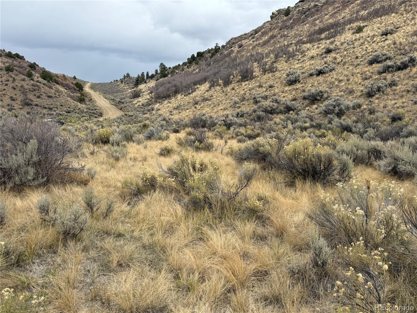 Lot 133 Griffiths Drive Fort Garland CO 81133