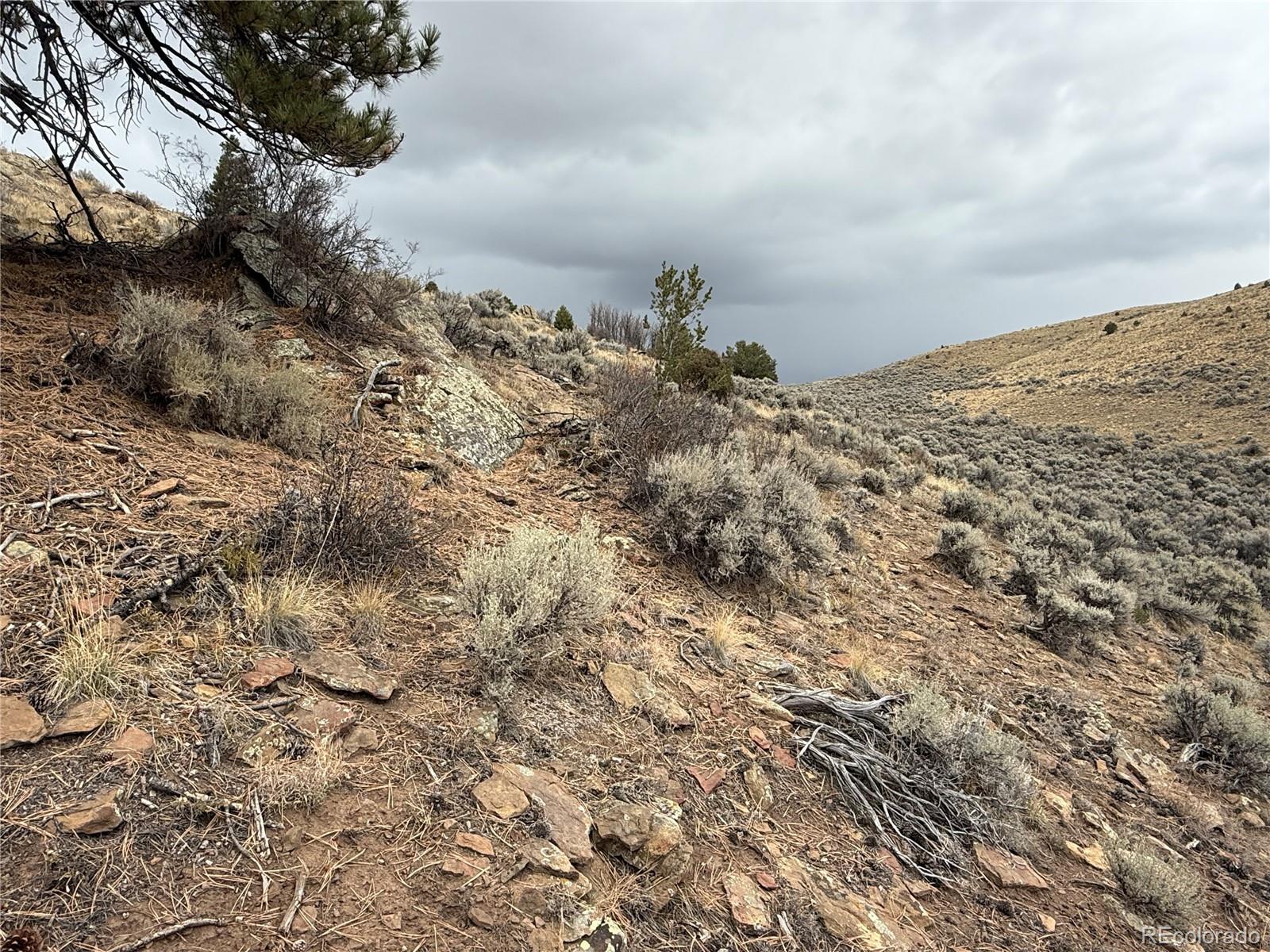 Lot 133 Griffiths Drive Fort Garland CO 81133