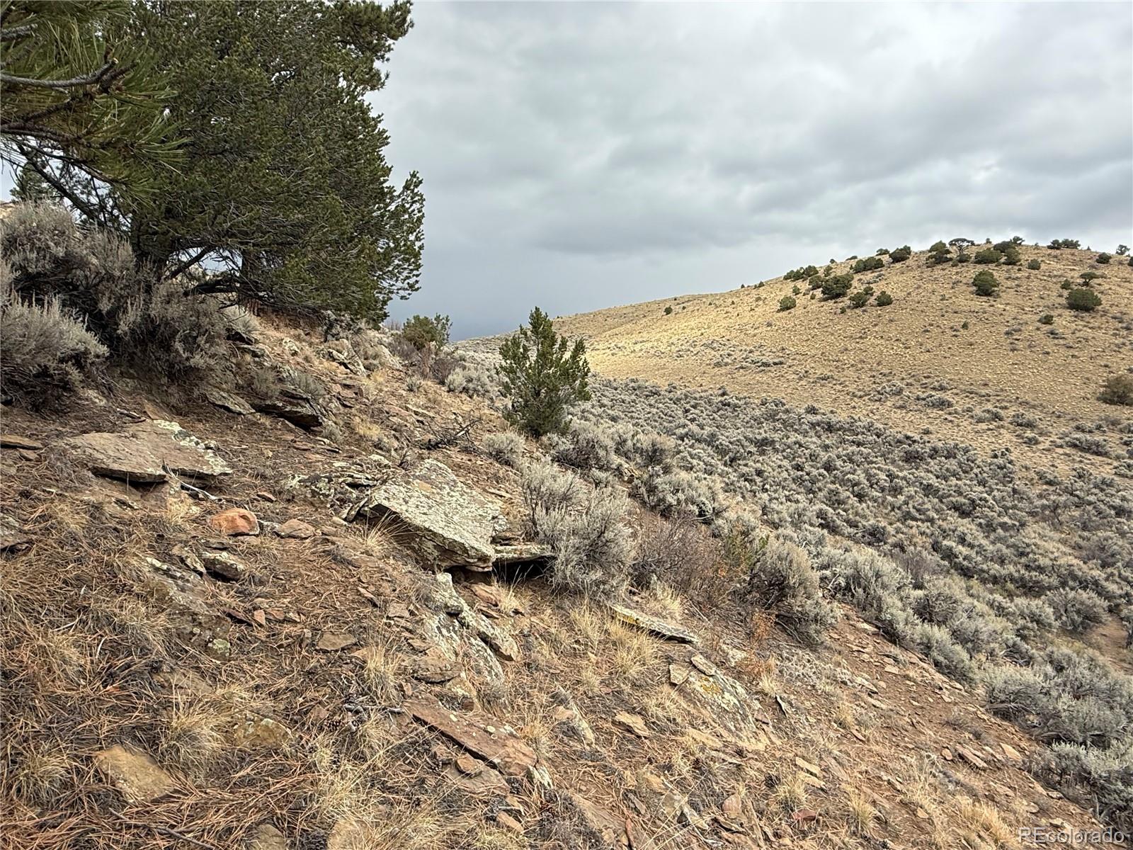 Lot 133 Griffiths Drive Fort Garland CO 81133