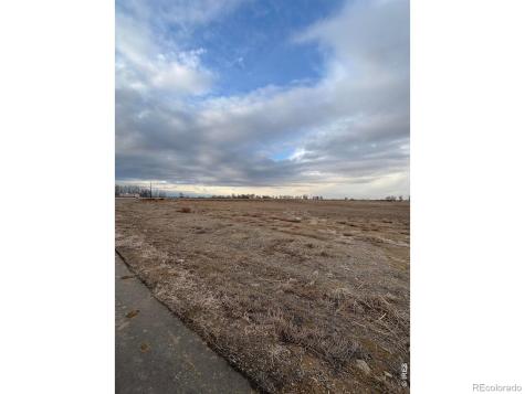 15124 Mattana Drive Mead CO 80542