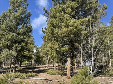 30317 Aspen Turn Buena Vista CO 81211