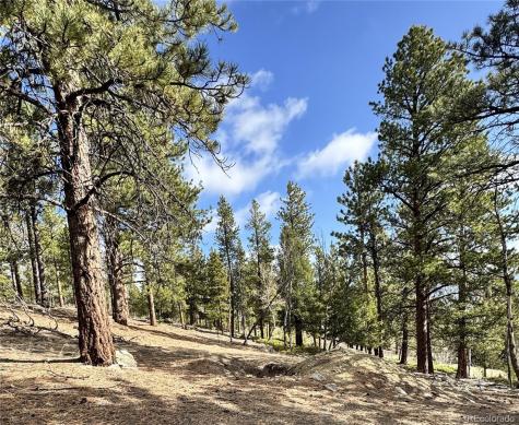 30317 Aspen Turn Buena Vista CO 81211