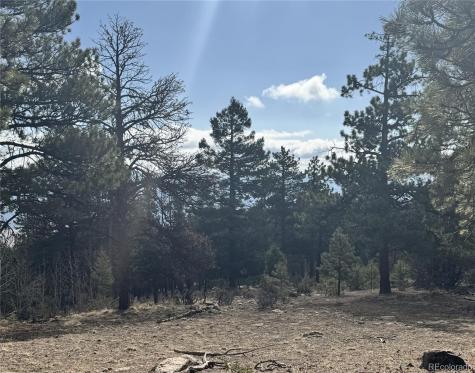 30317 Aspen Turn Buena Vista CO 81211