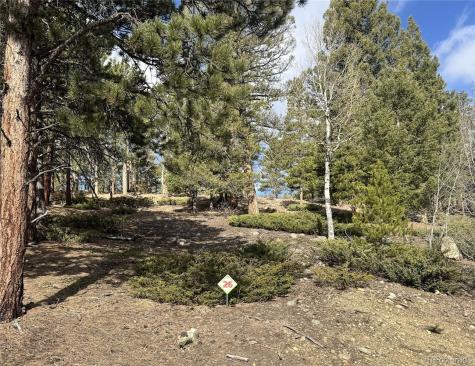 30317 Aspen Turn Buena Vista CO 81211