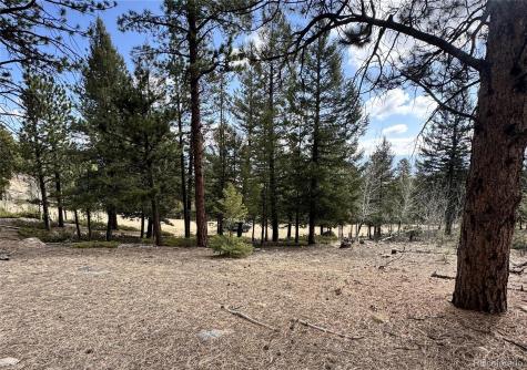 30317 Aspen Turn Buena Vista CO 81211