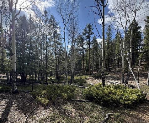 30317 Aspen Turn Buena Vista CO 81211