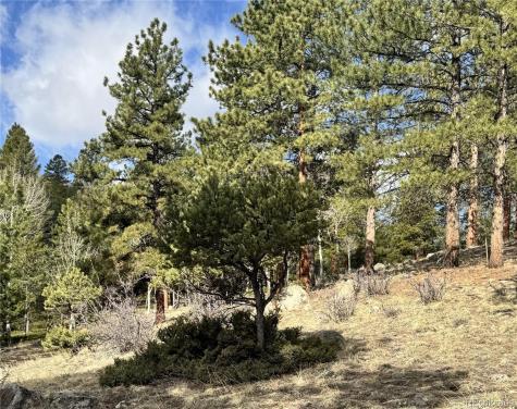 30317 Aspen Turn Buena Vista CO 81211