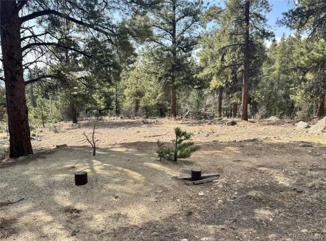 30317 Aspen Turn Buena Vista CO 81211