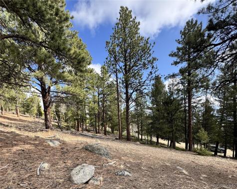 30317 Aspen Turn Buena Vista CO 81211