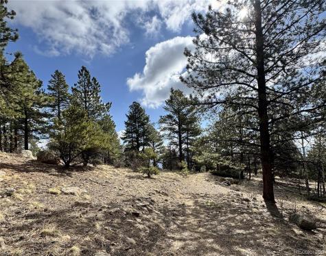 30317 Aspen Turn Buena Vista CO 81211