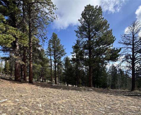 30317 Aspen Turn Buena Vista CO 81211