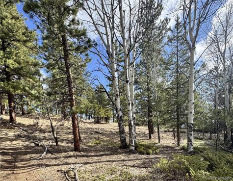 30317 Aspen Turn Buena Vista CO 81211