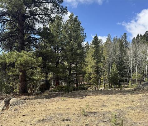 30317 Aspen Turn Buena Vista CO 81211