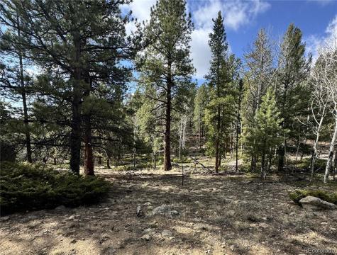 30317 Aspen Turn Buena Vista CO 81211