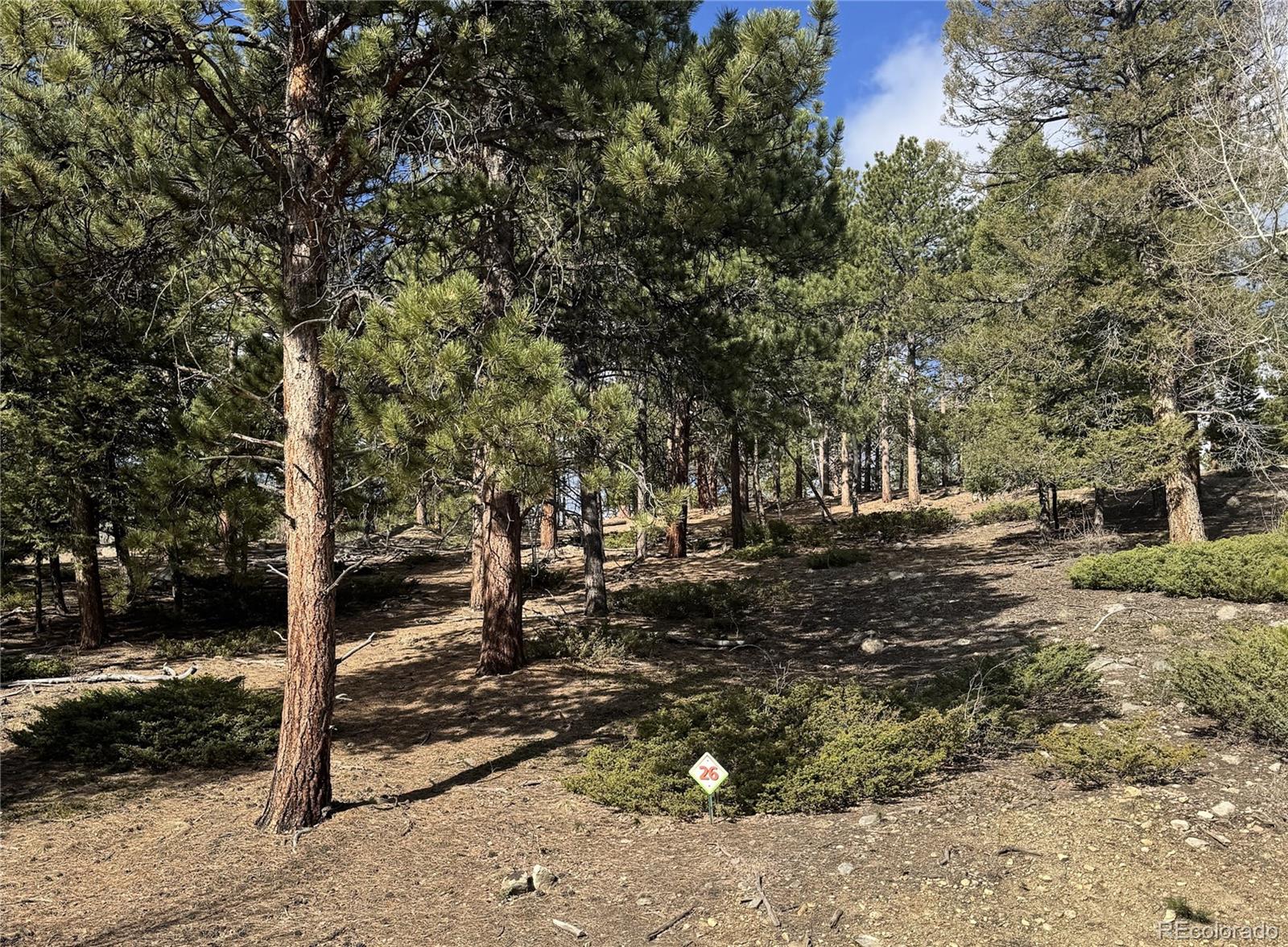 30317 Aspen Turn Buena Vista CO 81211