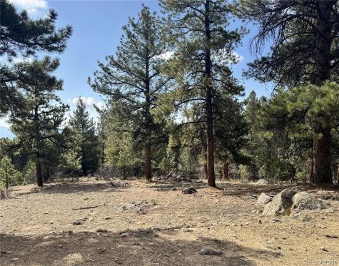 30317 Aspen Turn Buena Vista CO 81211