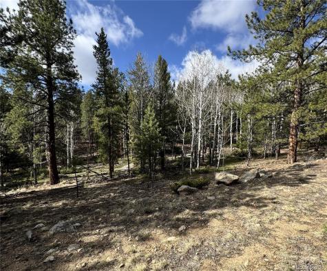 30317 Aspen Turn Buena Vista CO 81211