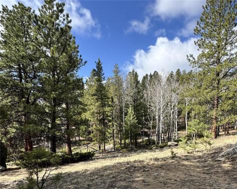 30317 Aspen Turn Buena Vista CO 81211