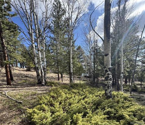 30317 Aspen Turn Buena Vista CO 81211