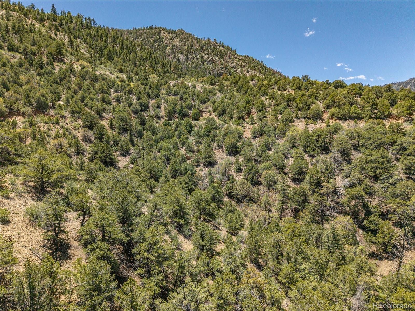 000 Tbd County Road 115 Poncha Springs CO 81242