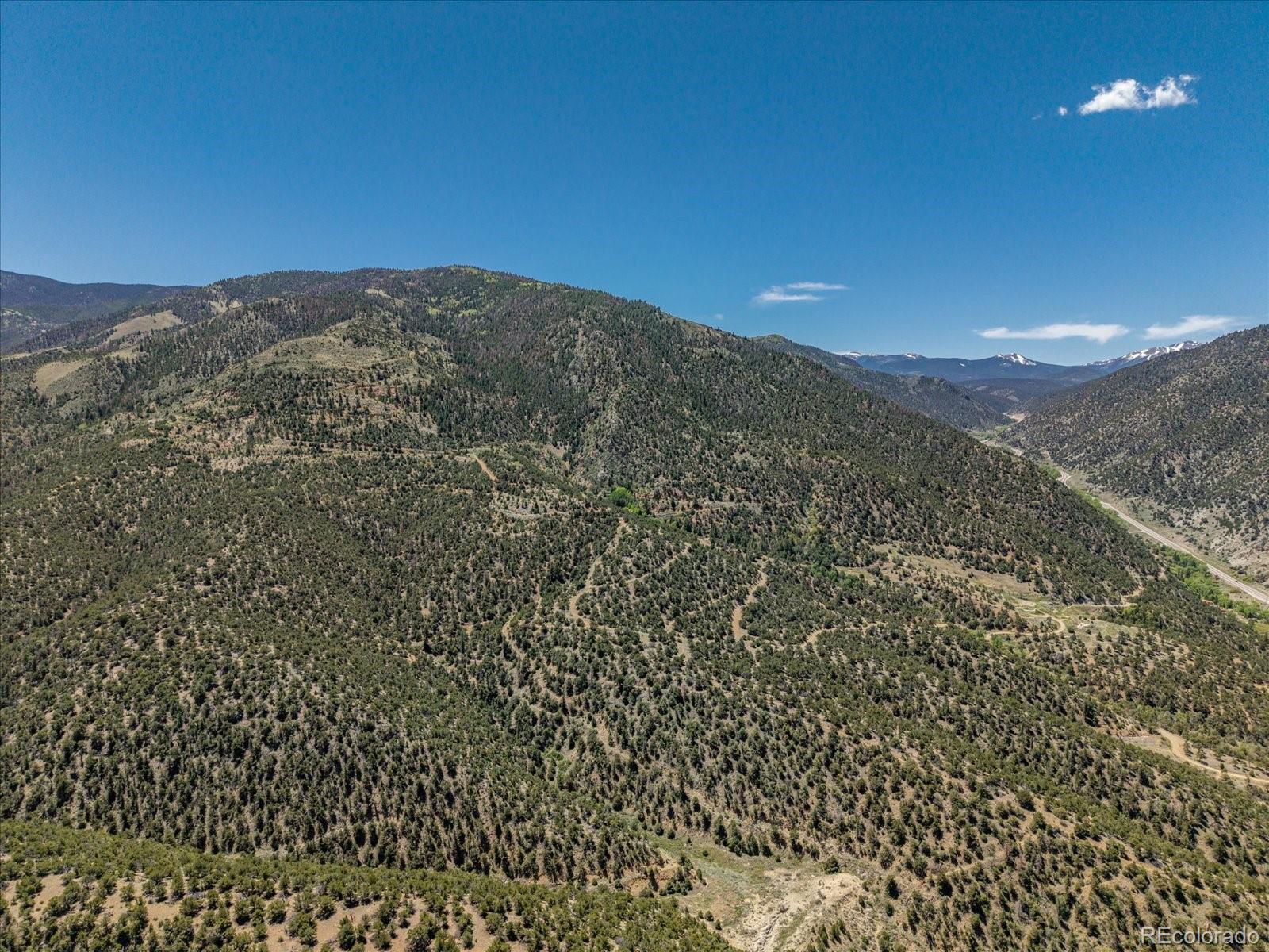 000 Tbd County Road 115 Poncha Springs CO 81242