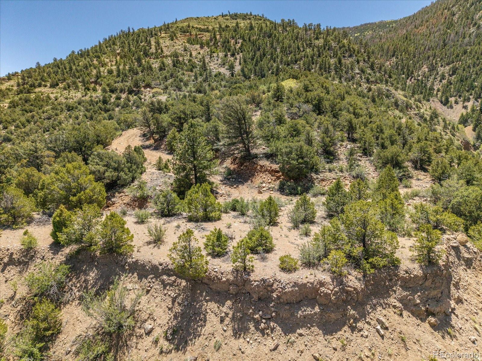 000 Tbd County Road 115 Poncha Springs CO 81242