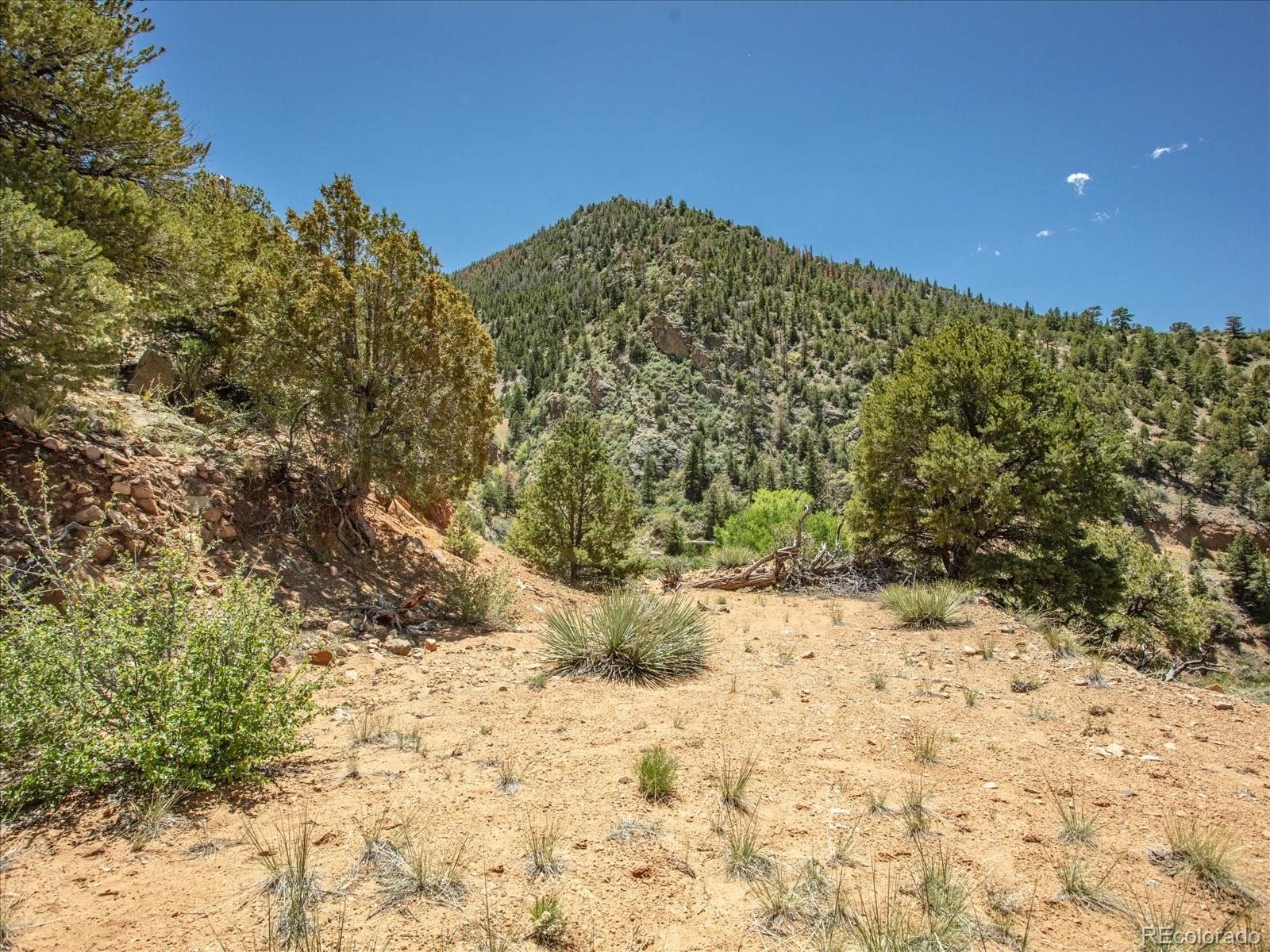 000 Tbd County Road 115 Poncha Springs CO 81242