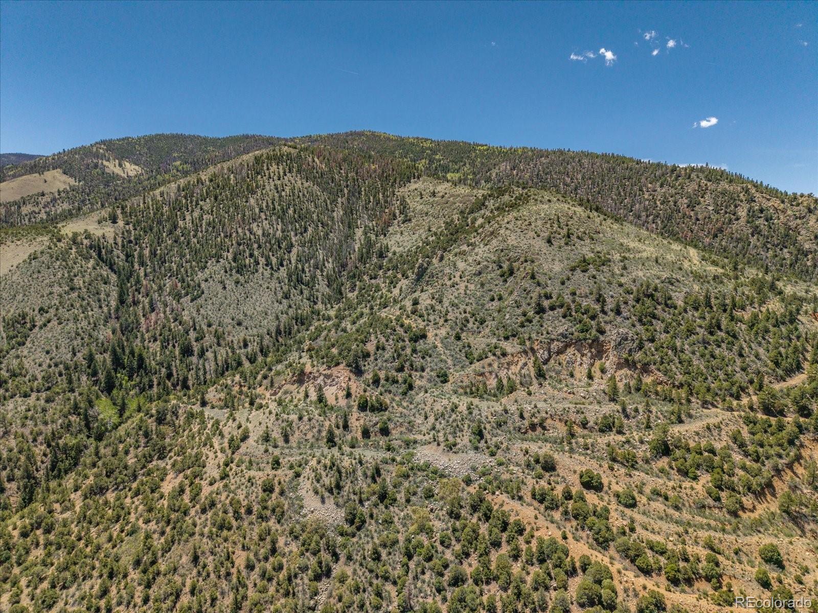 000 Tbd County Road 115 Poncha Springs CO 81242
