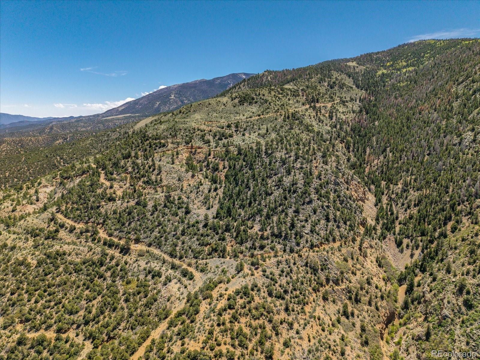 000 Tbd County Road 115 Poncha Springs CO 81242