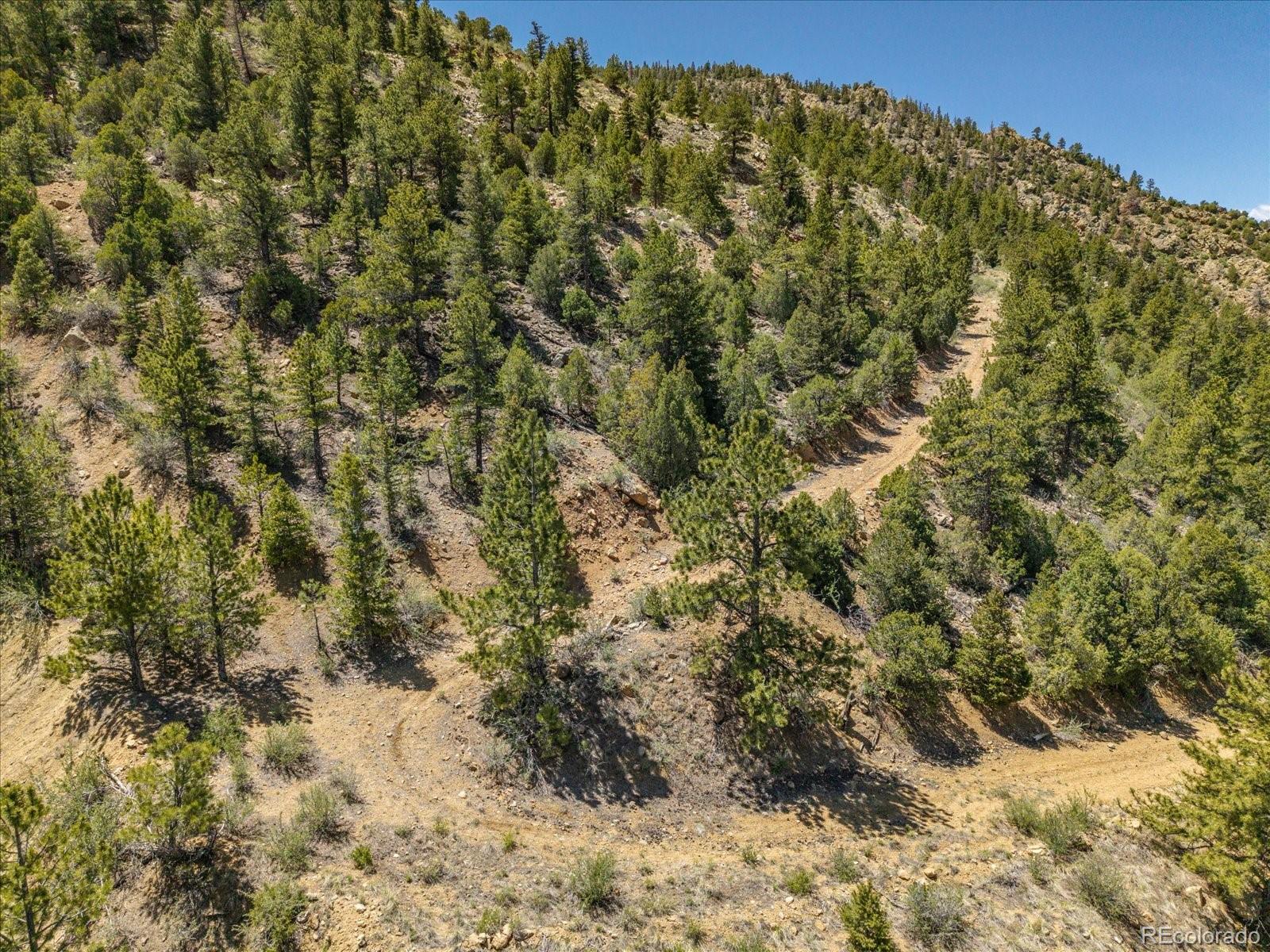 000 Tbd County Road 115 Poncha Springs CO 81242