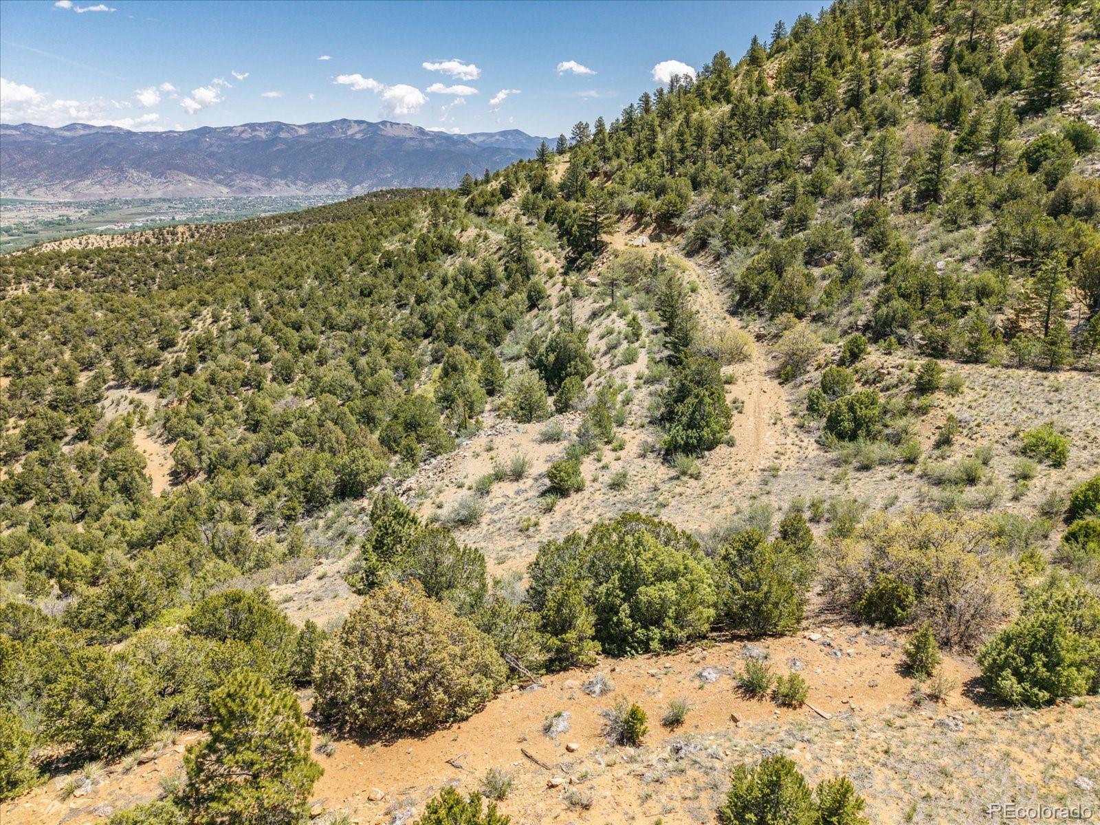 000 Tbd County Road 115 Poncha Springs CO 81242