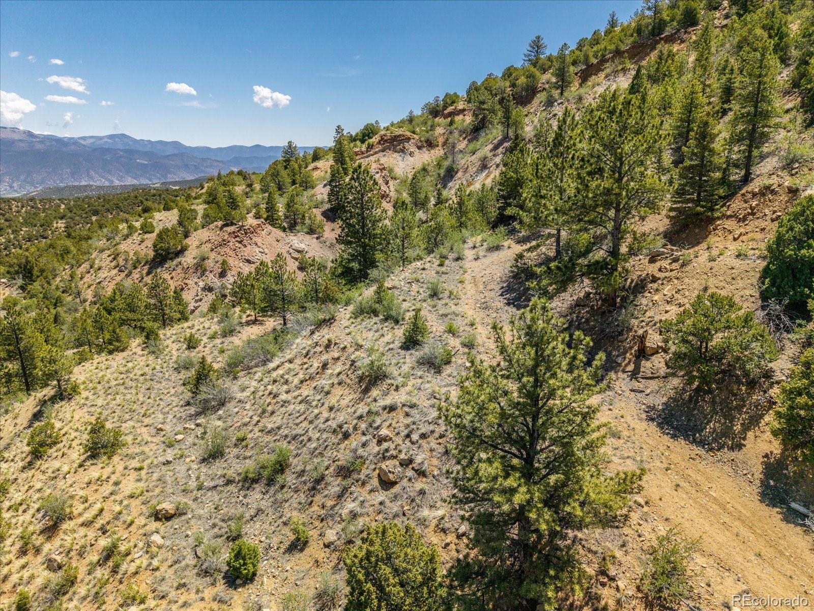 000 Tbd County Road 115 Poncha Springs CO 81242