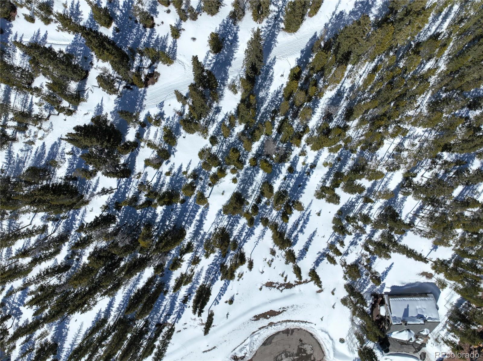 217 Goldenview Drive Breckenridge CO 80424
