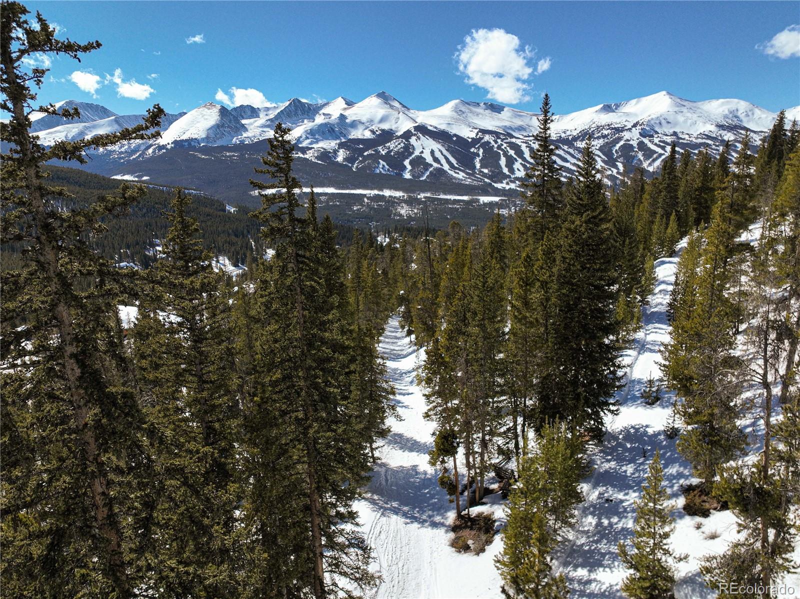 217 Goldenview Drive Breckenridge CO 80424