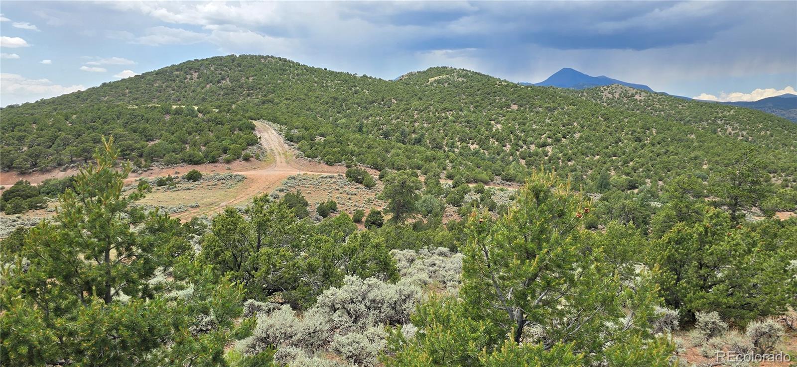 Lot 4401 Melcarth Road Fort Garland CO 81133
