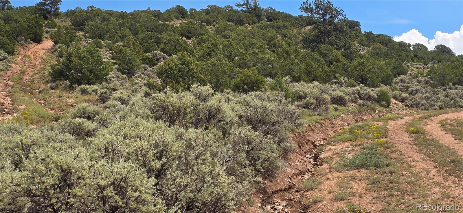 Lot 4401 Melcarth Road Fort Garland CO 81133